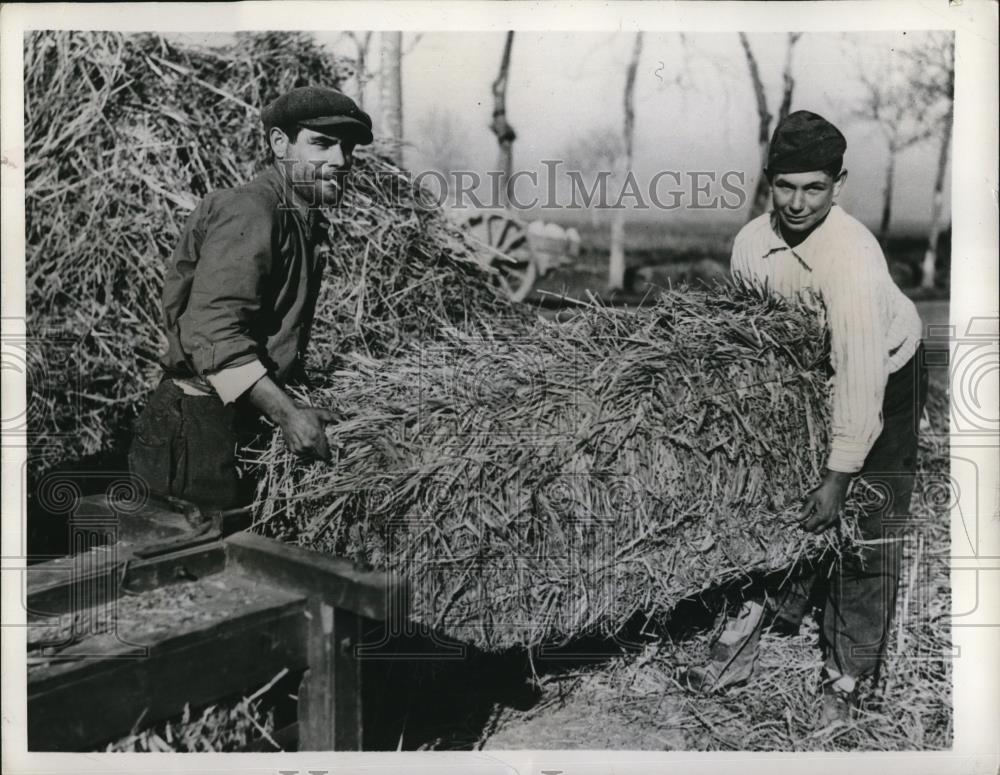 1944 Press Photo Santa Maria Italy, war passed thru resume farming - Historic Images