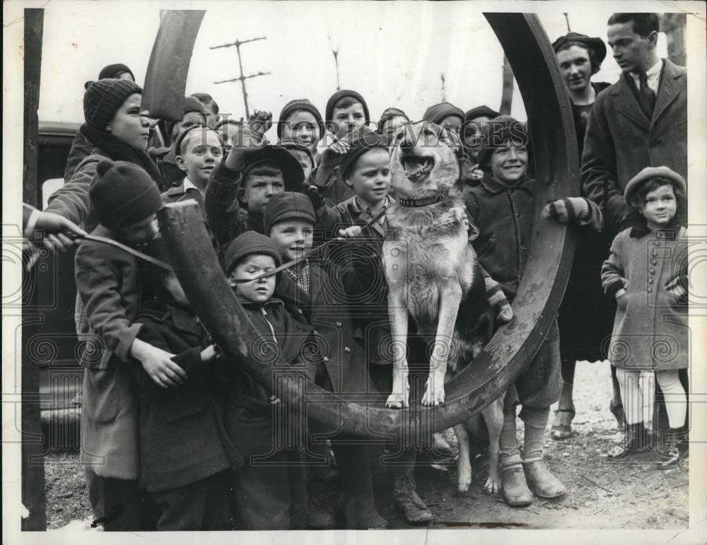 1937 Press Photo King Shepherd Dog accused of vicious &amp; dangerous violation free - Historic Images