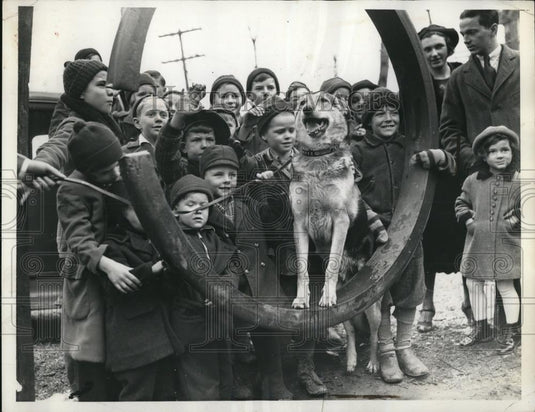1937 Press Photo King Shepherd Dog accused of vicious & dangerous violation free - Historic Images