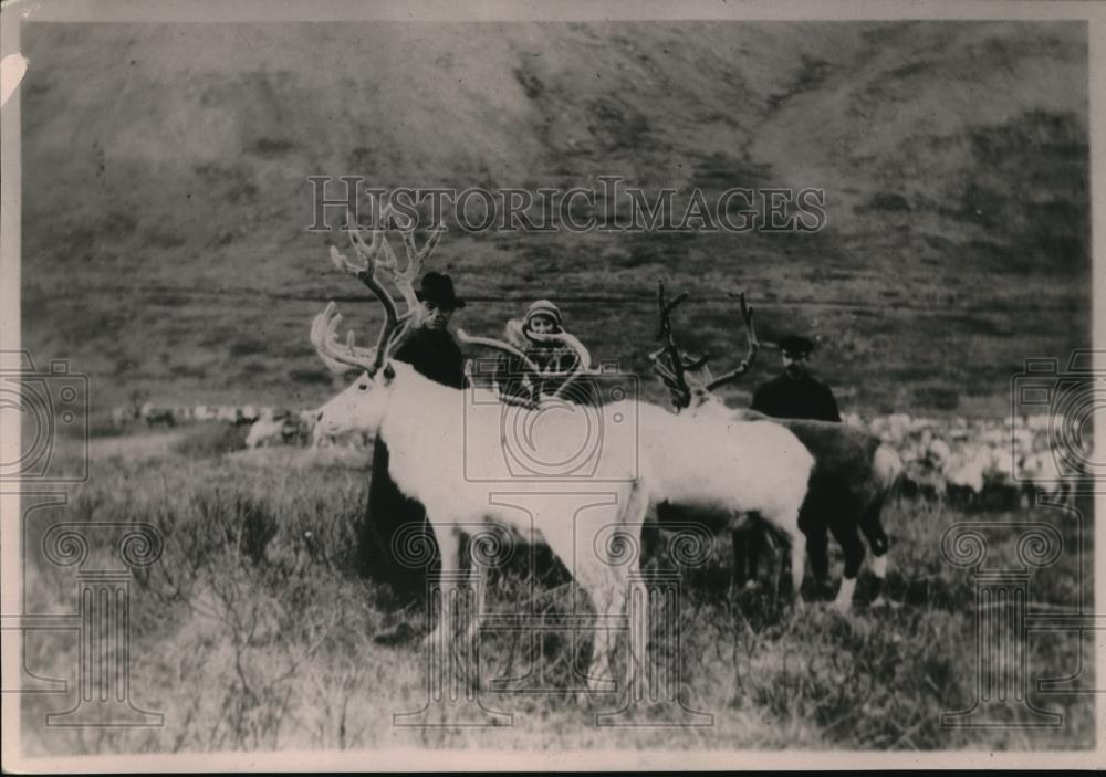 1921 Press Photo WT Topp at Deft Supt of Alaskan School inspecting reindeers - Historic Images