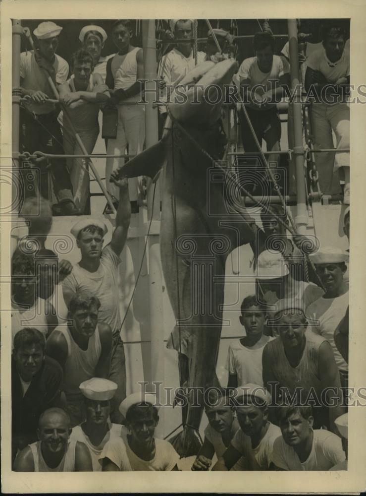 1924 Press Photo Monster Shark Caught by Uncle Sam&#39;s man of war - Historic Images