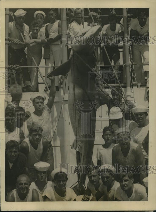 1924 Press Photo Monster Shark Caught by Uncle Sam's man of war - Historic Images