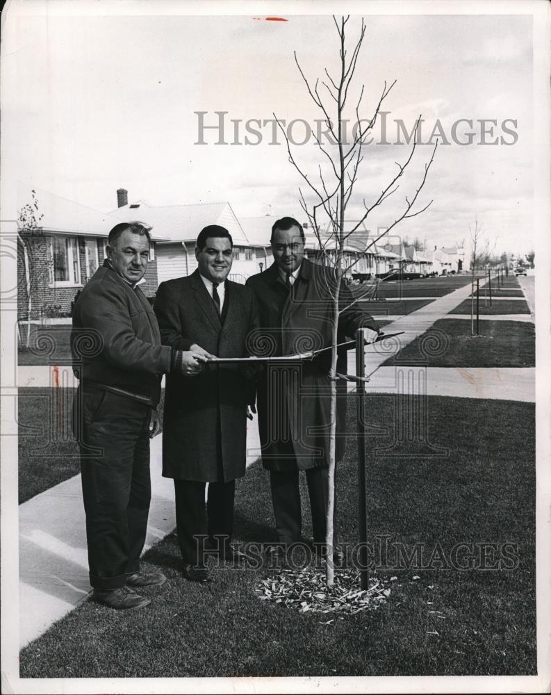 1964 Press Photo Michael Lastoria, Anthony Rinaldi, and Gene Tagliaferri - Historic Images