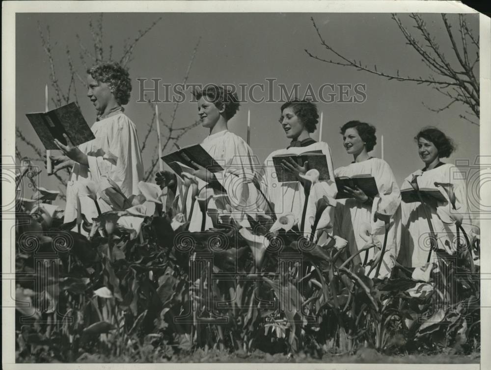 1935 Press Photo Lilies of the field for California Easter - Historic Images