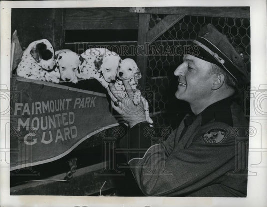 1947 Press Photo Joseph Warner, Fairmount Park Mounted Guard w/10 Dalmatian Pups - Historic Images