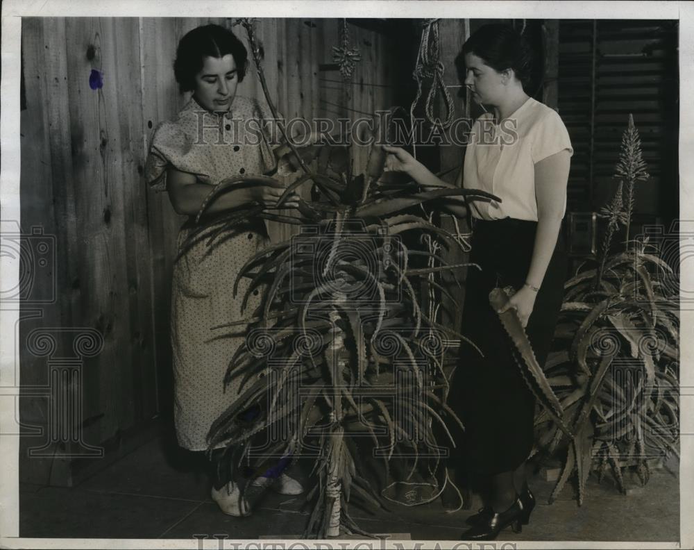 1933 Press Photo Phyllis Patchen &amp; Margaret Kincher in the African Hall - Historic Images