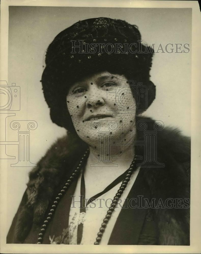 1925 Press Photo Mrs Charles F Massey of Chicago Ill - Historic Images