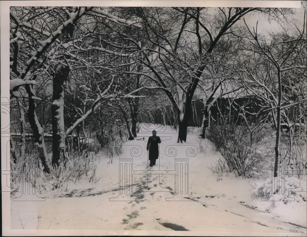 1936 Press Photo In Lincoln Park, Chicago after an April shower - Historic Images