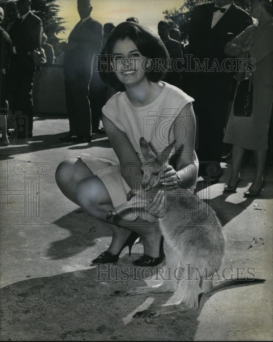 1964 Press Photo Carole Redhead Miss Britain '64 befriending "Joey" - Historic Images