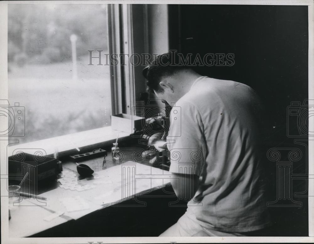 1937 Press Photo Typing Blood - Historic Images