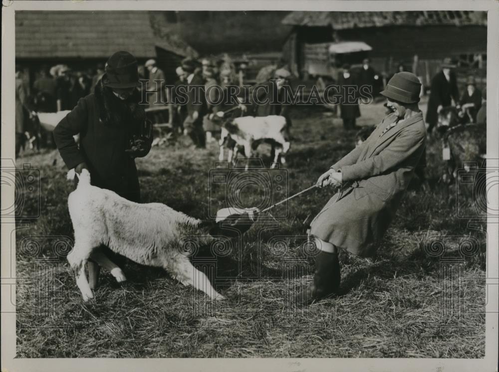 1930 Press Photo Kingsclere Young Farmers Club - Historic Images