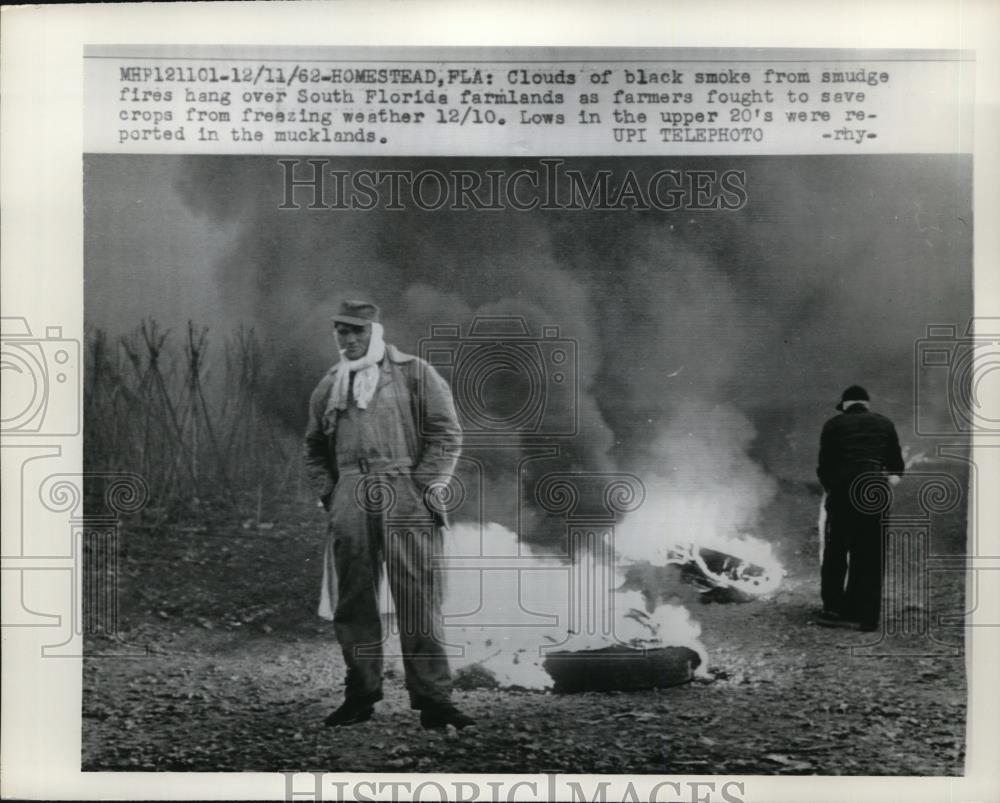 1962 Press Photo Crops protected with fire in the freezing weather - Historic Images