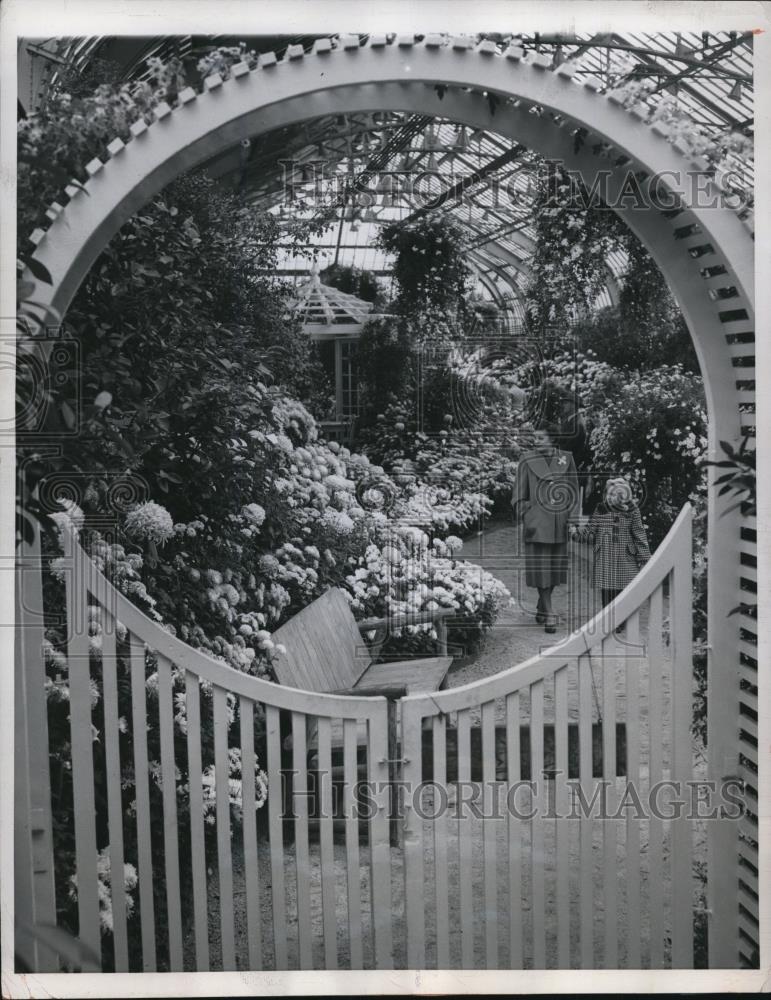 1950 Press Photo Chicago Ill Mrs Helen Varous at Garfield Park Observatory - Historic Images