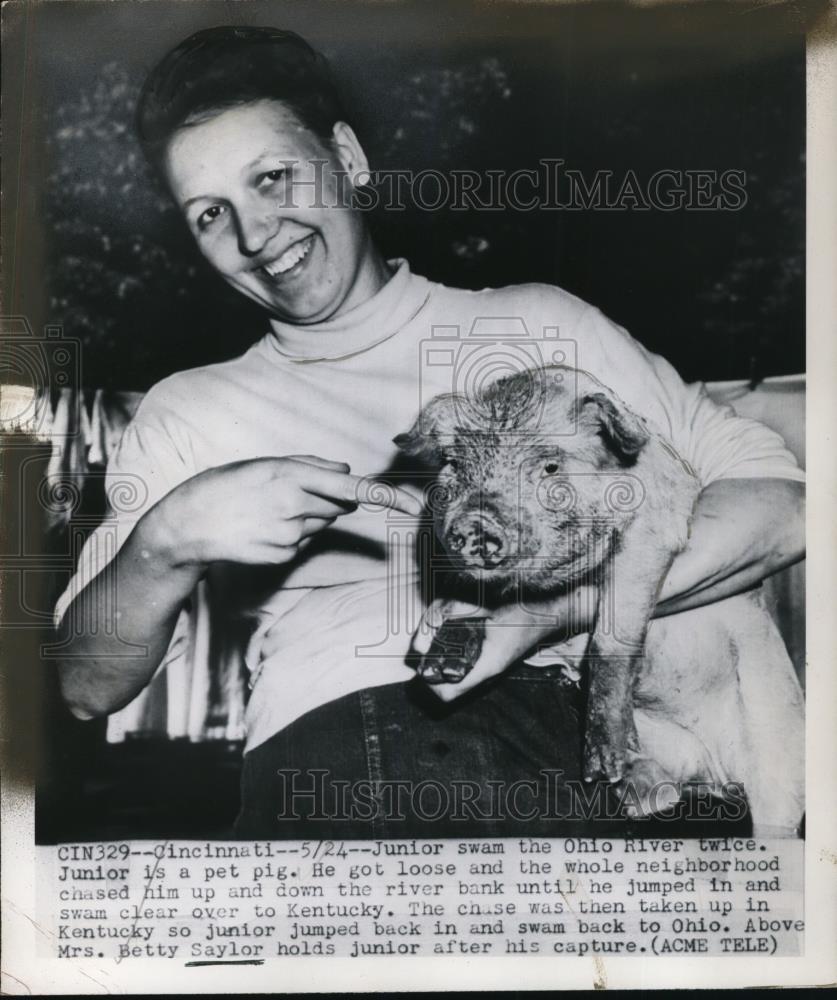 1950 Press Photo Mrs. Betty Saylor as she catches Junior &quot;the pet pig&quot; - Historic Images