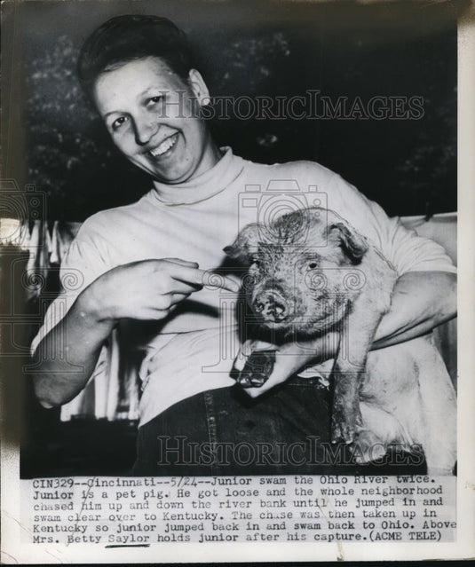 1950 Press Photo Mrs. Betty Saylor as she catches Junior "the pet pig" - Historic Images
