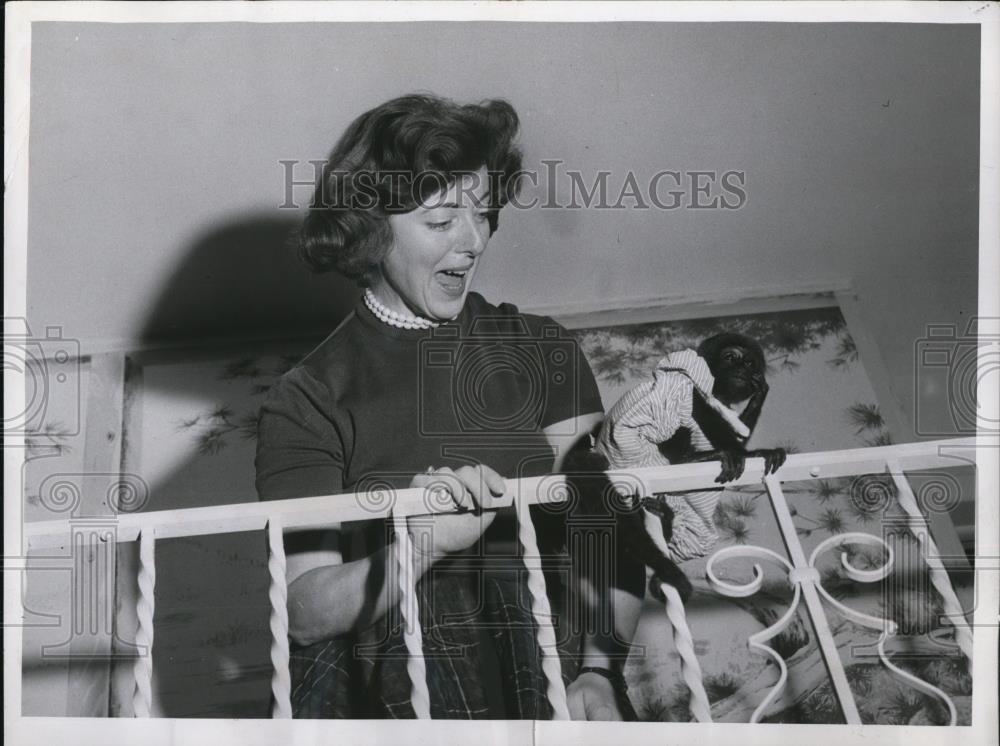 1958 Press Photo &quot;Bongo&quot; a four month old monkey shines in parlor - Historic Images