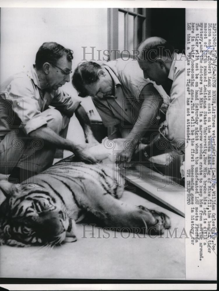 1958 Press Photo Three veterinarians puts cast on the broken leg of Mike - Historic Images