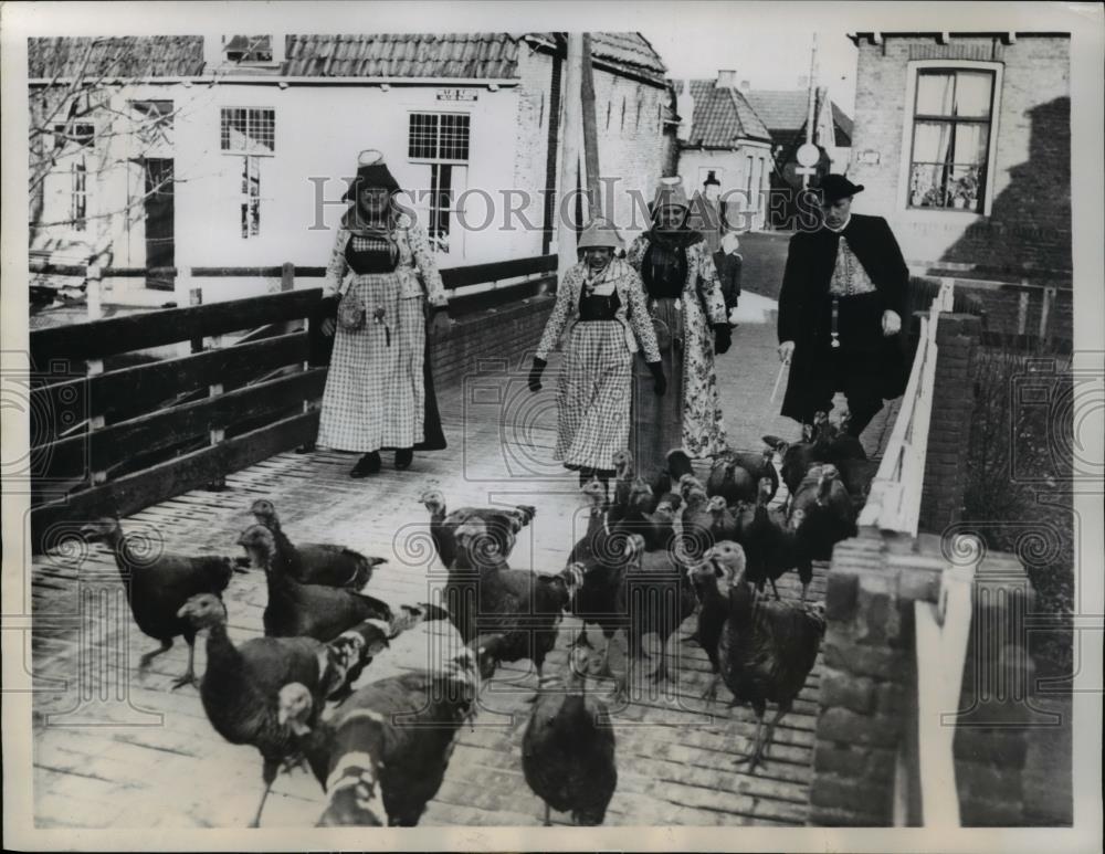 1957 Press Photo Amsterdam Holland Turkeys head for last roundup in Amsterdam - Historic Images