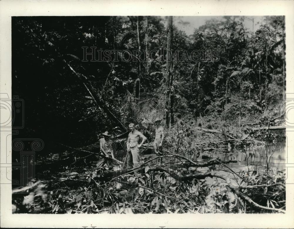 1931 Press Photo The clearing operation at the Nicaragua Canal - Historic Images