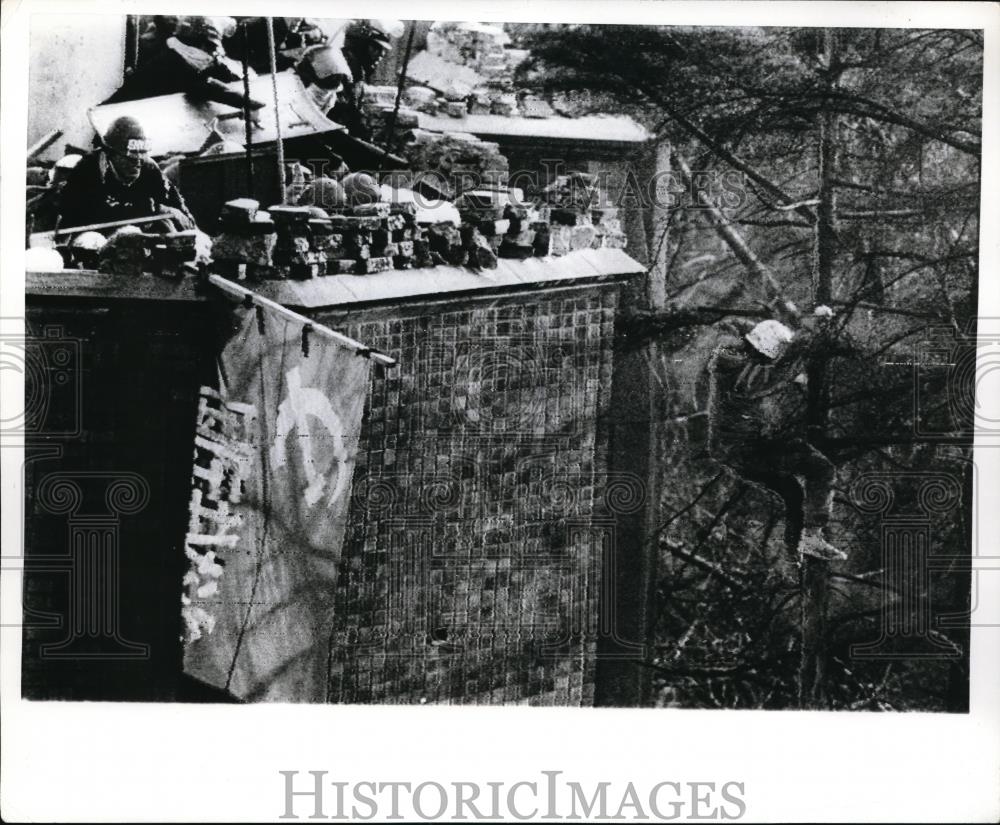 1969 Press Photo Students climb down a tree to escape tear gas during a clash - Historic Images