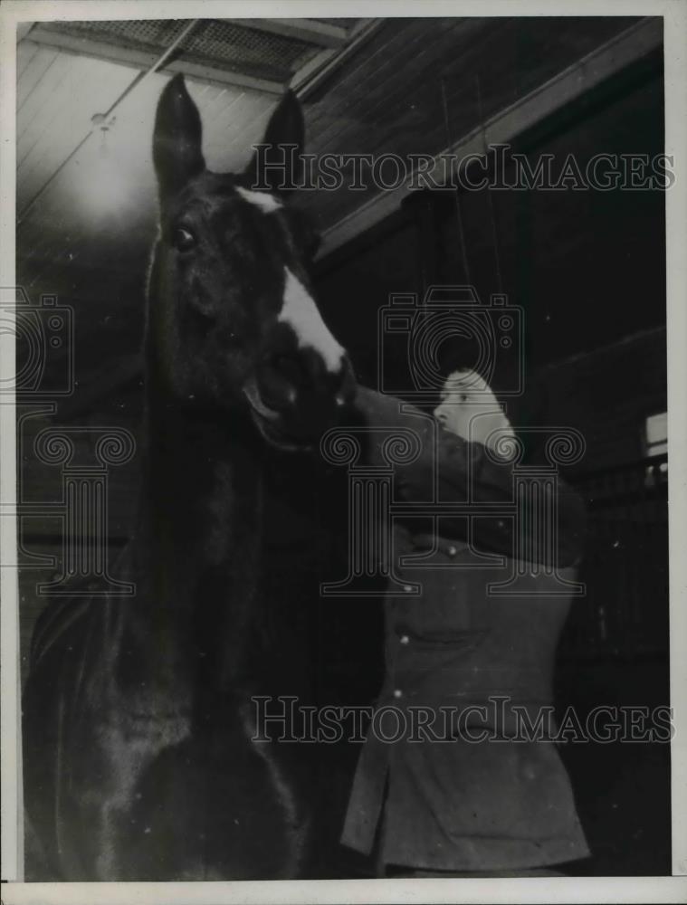 1938 Press Photo Royal Canadian Mounted Policeman Mounting Horse - Historic Images