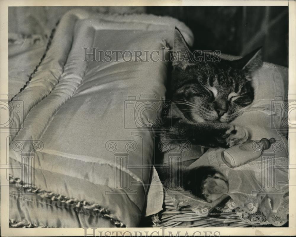 1938 Press Photo Dina sleeping on her beautiful bed - Historic Images
