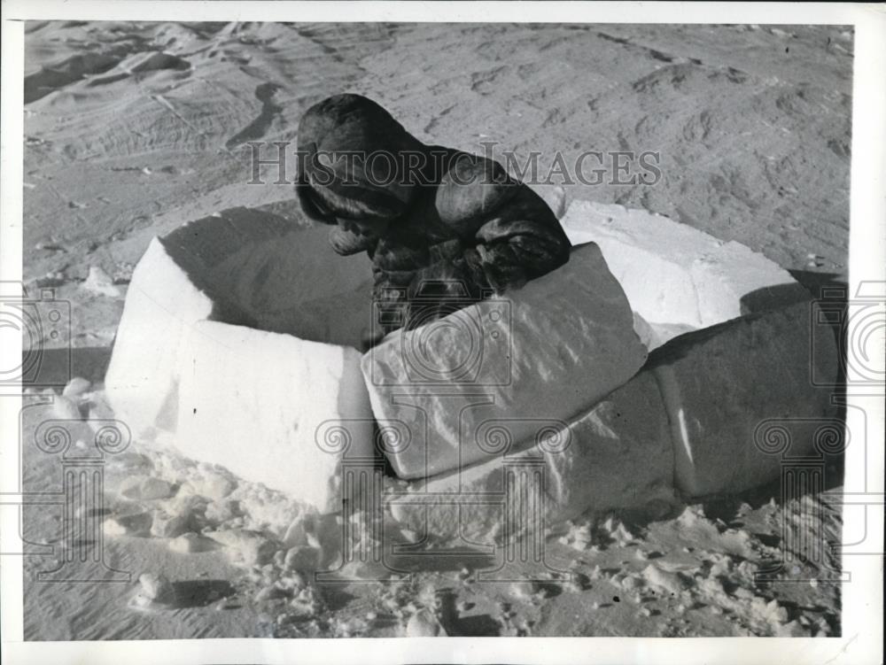 1943 Press Photo Baffin Island, building a play igloo - Historic Images