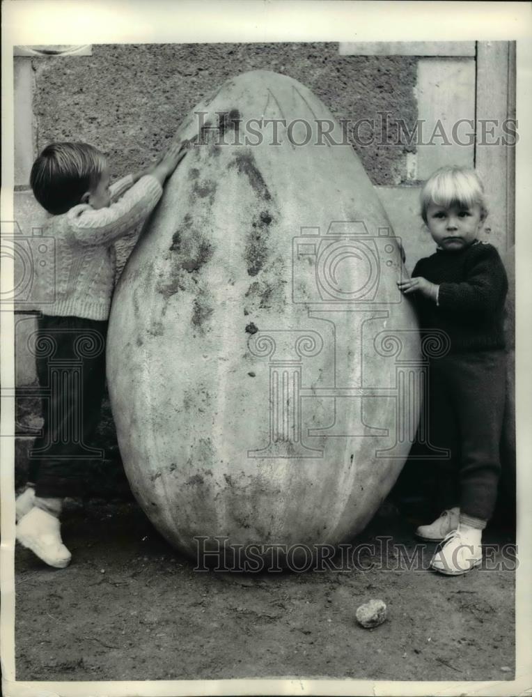 1958 Press Photo Pouille, France perfect for monstrous Jack-0-lantern is this - Historic Images