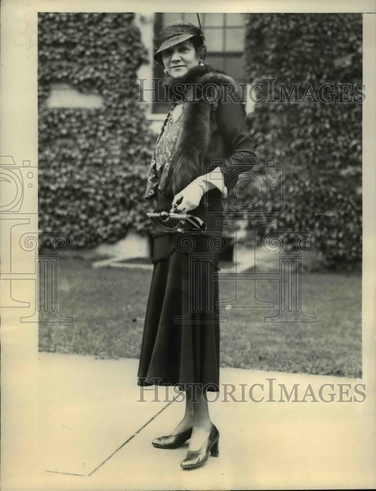 1933 Press Photo Mrs. Drayton Contesting Her Father-in-law's Foreclosure Action - Historic Images
