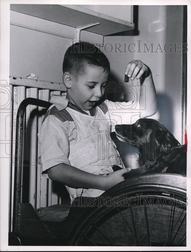 1960 Press Photo Lee Dey Ermand Hartsgrove Ohio And His Dog Stinky - Historic Images