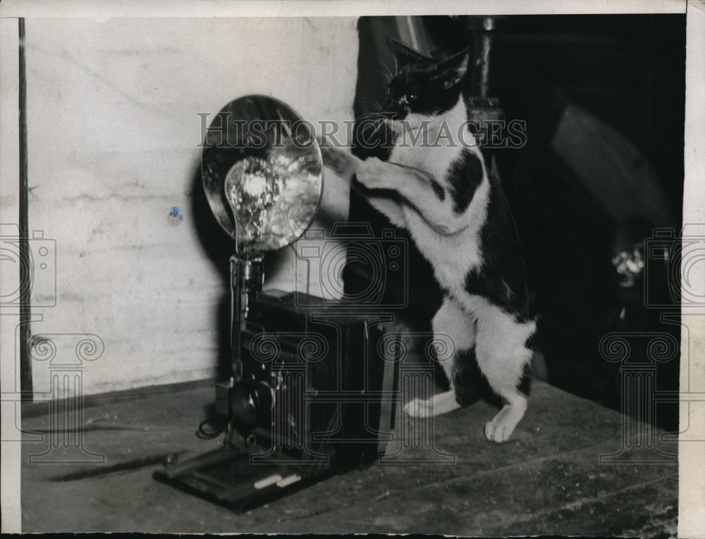 1934 Press Photo Best Posed Ever - Historic Images