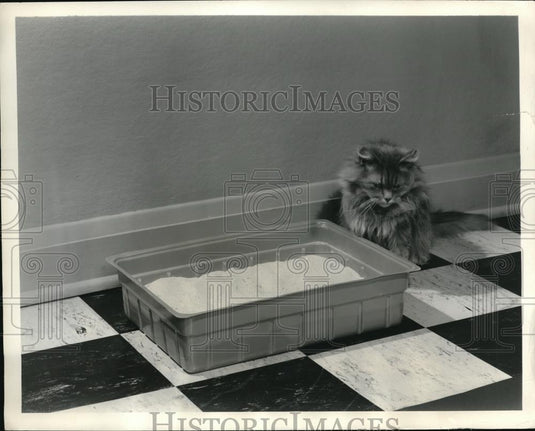 1958 Press Photo Kitti-pan made of strong and durable polystrene - Historic Images
