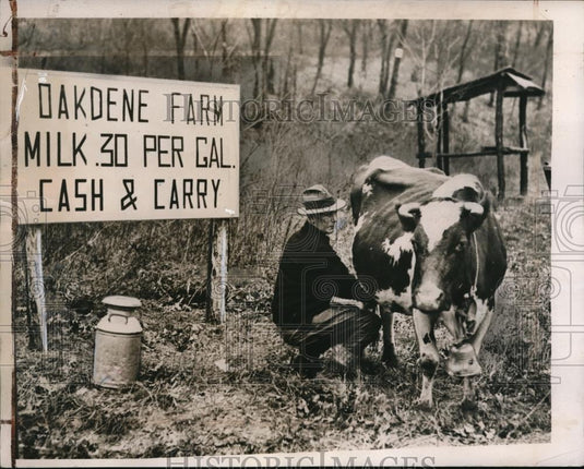 1939 Press Photo Robert Jackson milking one of his cows - Historic Images