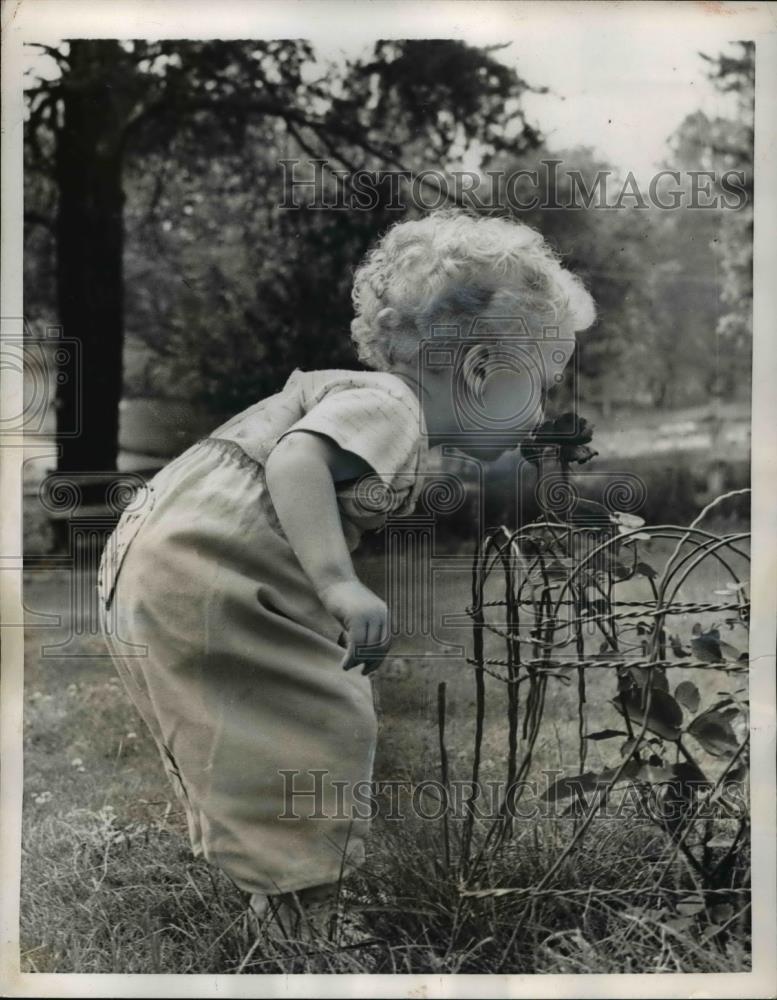 1956 Press Photo Mclean Va Billy Chapman takes a whiff of a rose plant as he - Historic Images