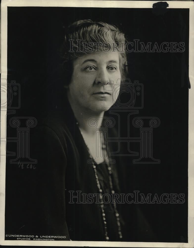 1923 Press Photo Anges Peterson, Assistant Director Of The Womans Bureau of U.S - Historic Images