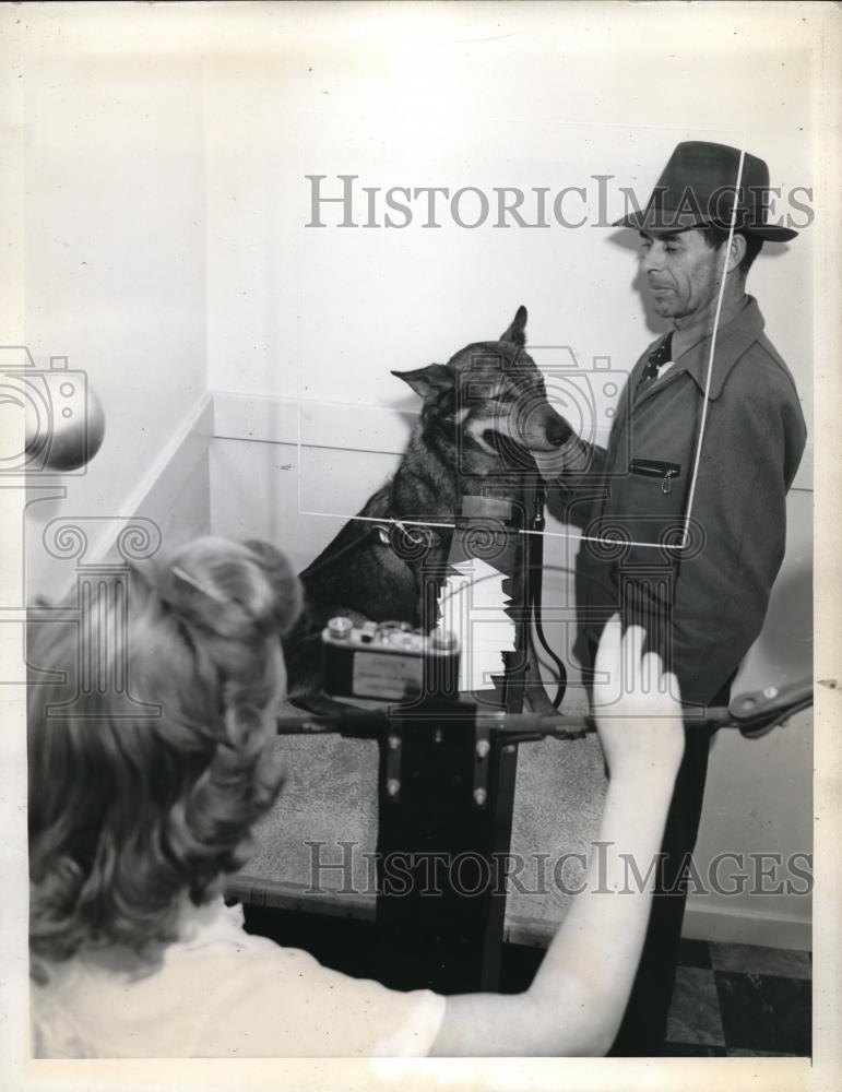 1943 Press Photo Harold C Anderson With Four Year Old Seeing Eye Dog Duke - Historic Images