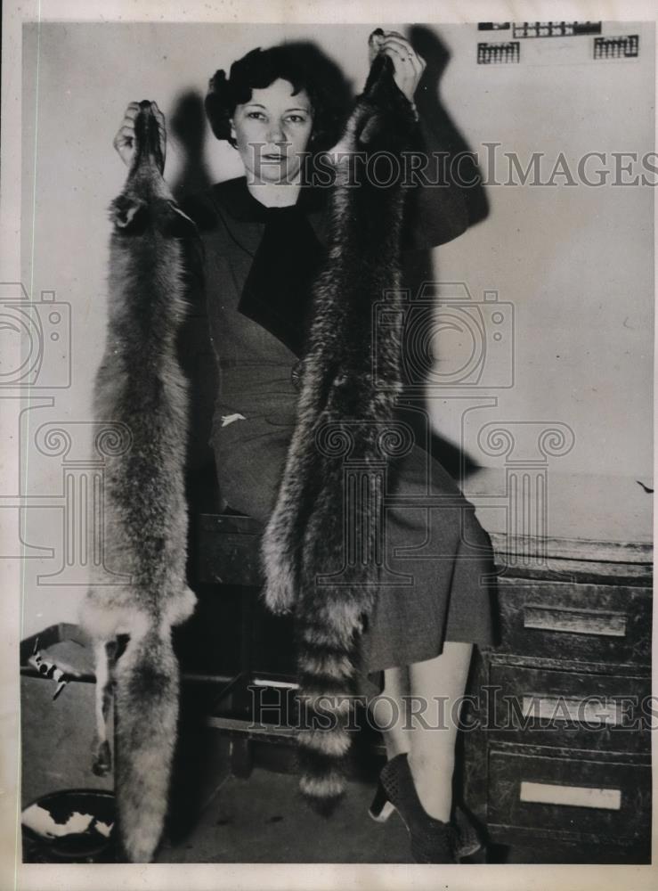 1935 Press Photo Red Wolf &amp; Raccoon for Mrs. Robert Penick&#39;s Scarfs - Historic Images