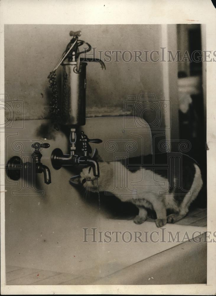 1930 Press Photo No saucers for Tommy when he wants a drink it right to the tap - Historic Images