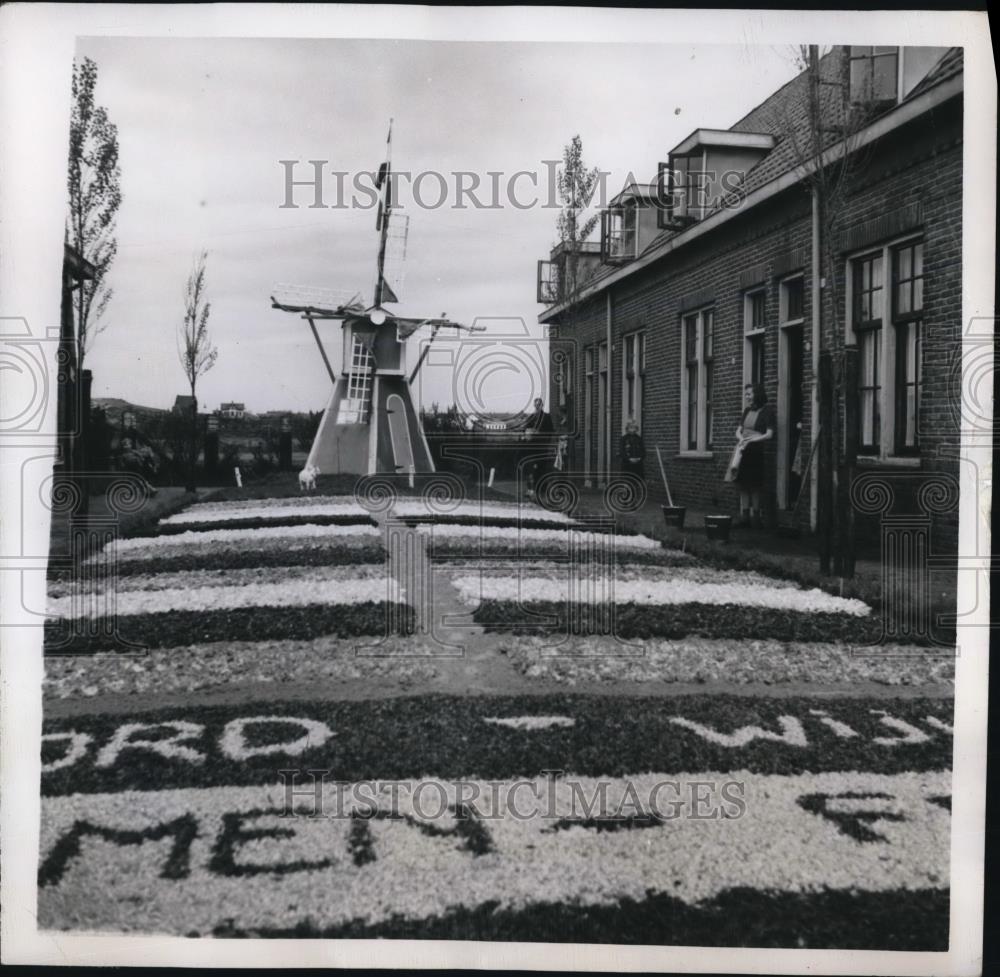 1949 Press Photo Flower Display made by a Dutch Florist in Holland - Historic Images