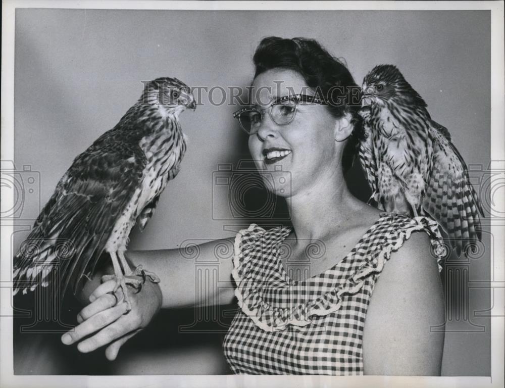 1959 Press Photo Mrs. Charles Harris with the two Cooper hawks - Historic Images