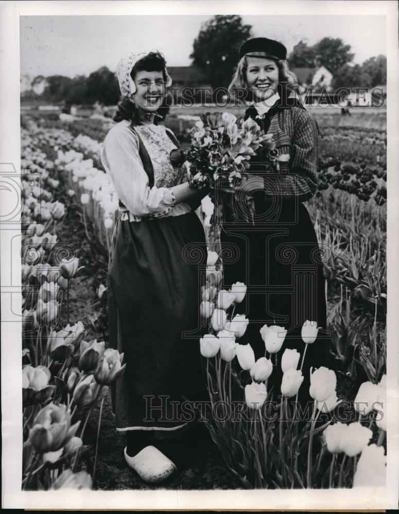 1950 Press Photo Girls in Traditional Holland dress on the fields of Tulips - Historic Images