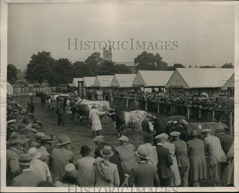 1929 Press Photo Royal Agricultural Society Show Judging Ring, Harrogate England - Historic Images