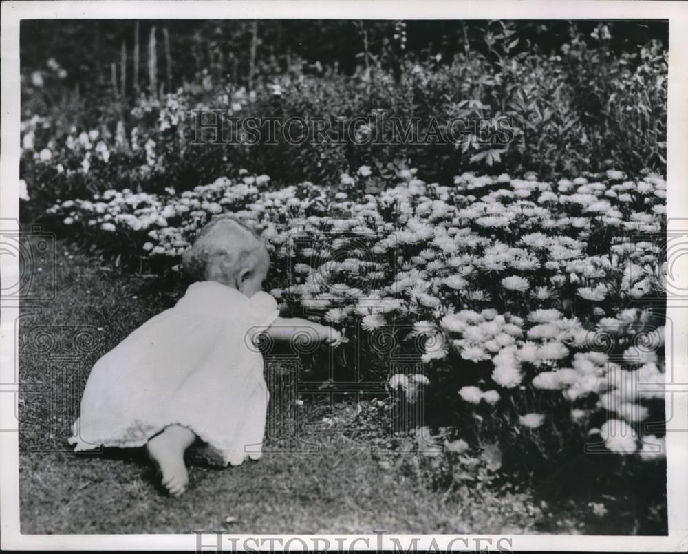 1951 Press Photo London England baby Princess Anne in garden at Clarence House - Historic Images