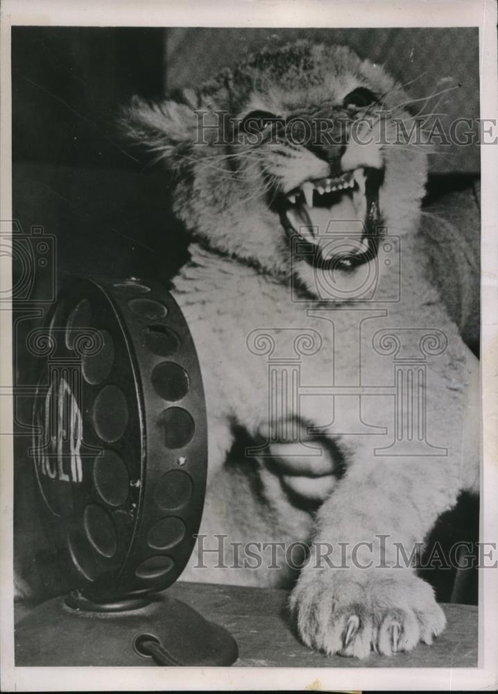 1936 Press Photo St. Patrick&#39;s Day In The Mornin&#39; Meant Nothing To &quot;Peanuts&quot; - Historic Images