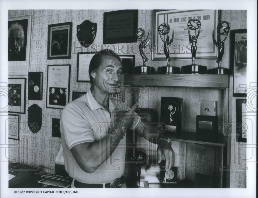 1987 Press Photo Sid Caesar in Fame Fortune & Romance - Historic Images