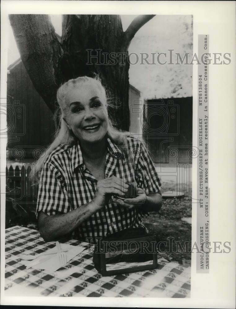 1980 Press Photo June Havoc Actress Dancer Writer Theater Director Connecticut - Historic Images