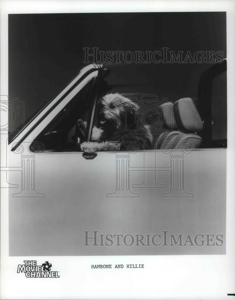 1986 Press Photo Hambone &amp; Hillie - cvp11027 - Historic Images
