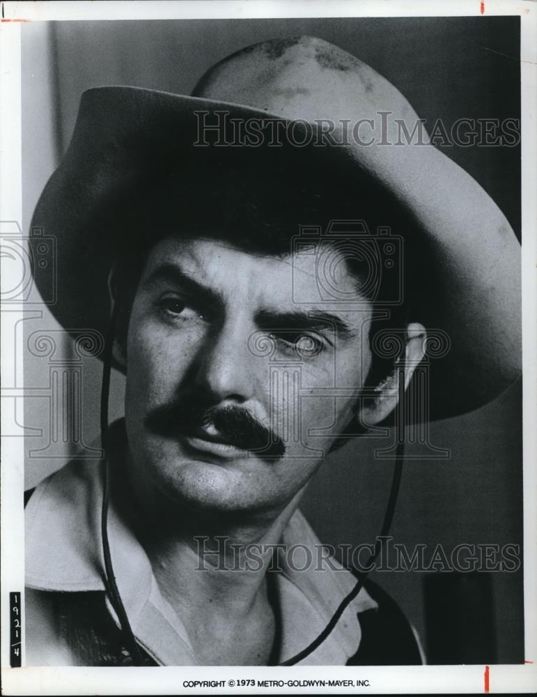 1973 Press Photo Richard Benjamin in Westworld - cvp01399 - Historic Images
