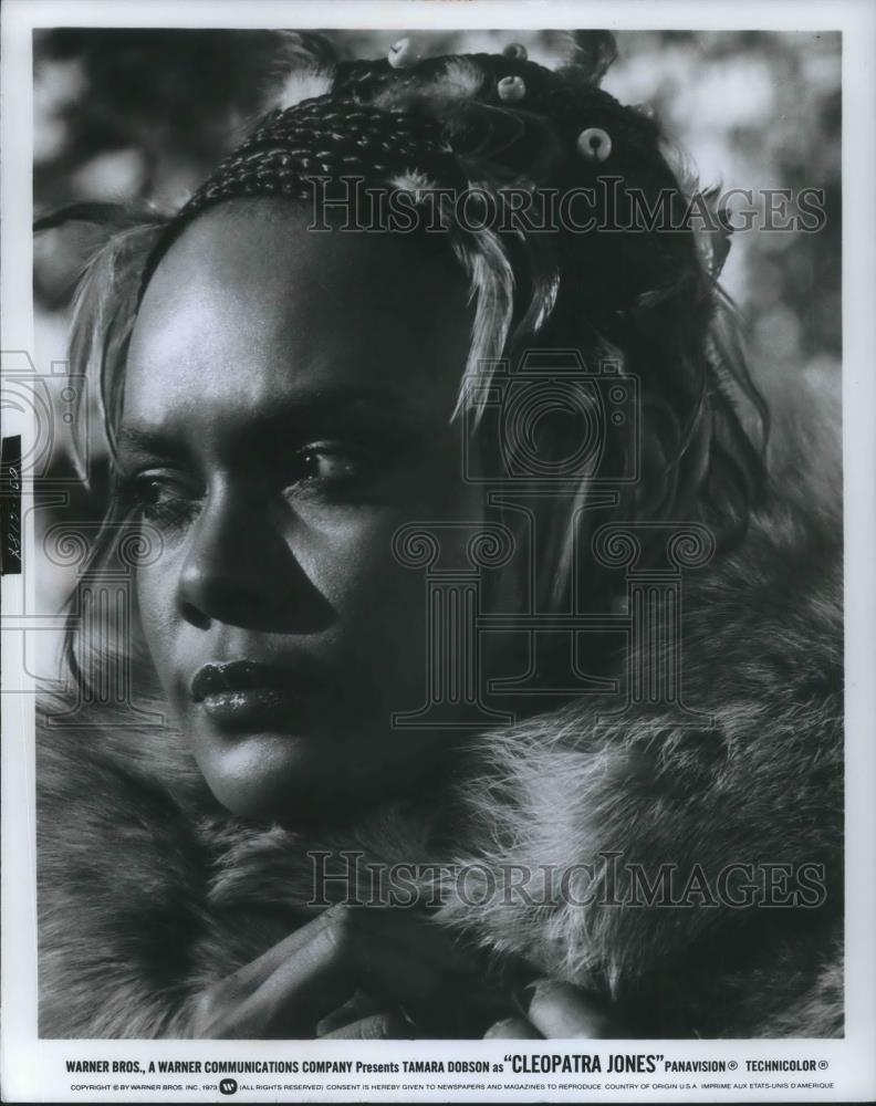 1973 Press Photo Tamara Dobson in Cleopatra Jones - cvp03684 - Historic Images