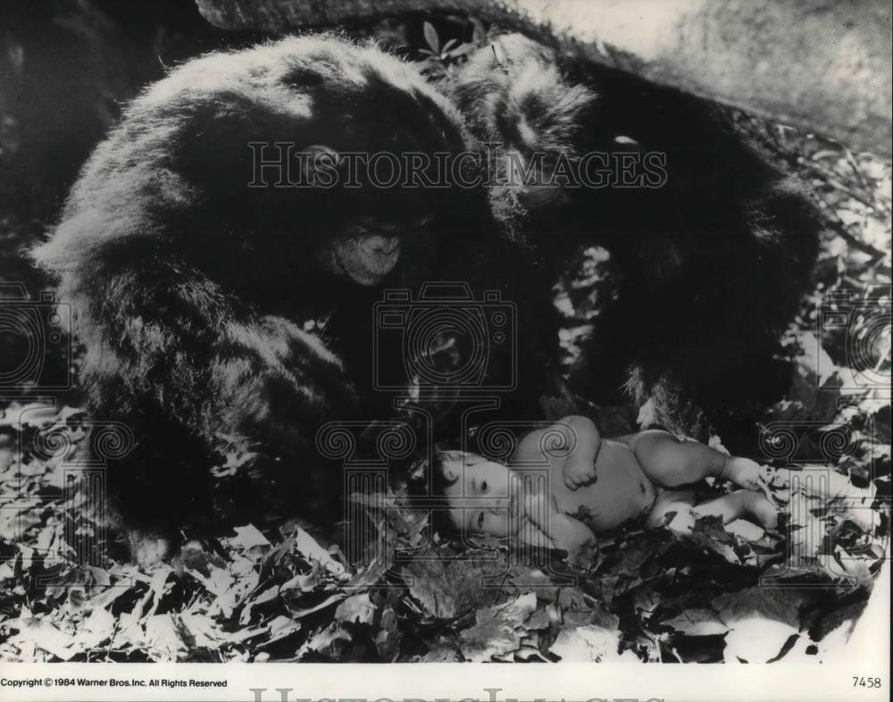 1986 Press Photo Greystoke: The Legend of Tarzan - 454 - cvp15205 - Historic Images